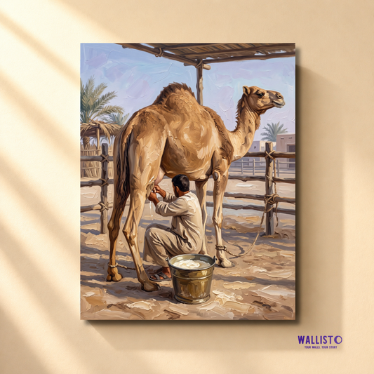 Morning at the Camel Pen