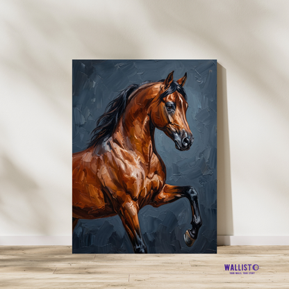 Arabian Stallion Power