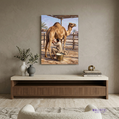 Morning at the Camel Pen